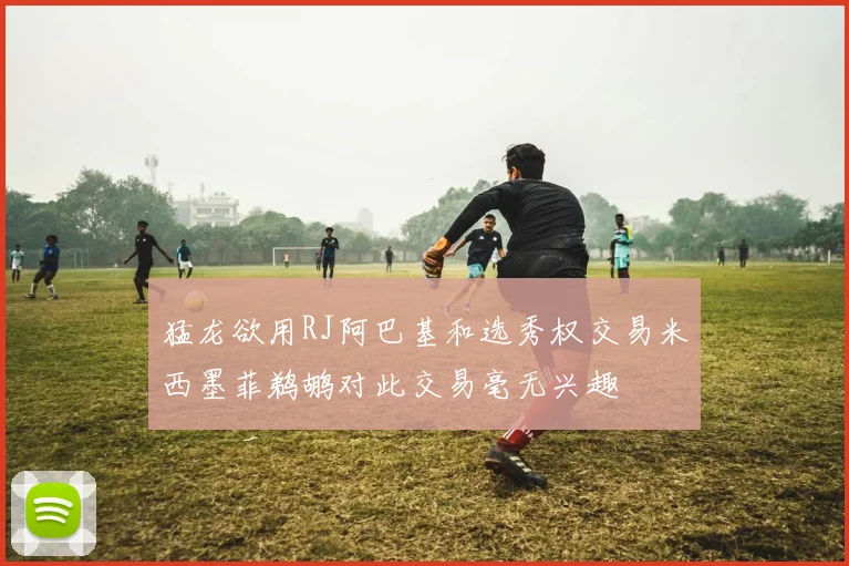 猛龙欲用RJ阿巴基和选秀权交易米西墨菲鹈鹕对此交易毫无兴趣