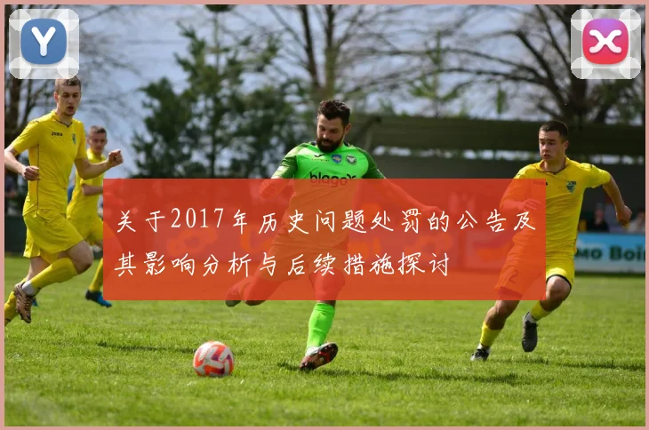 关于2017年历史问题处罚的公告及其影响分析与后续措施探讨
