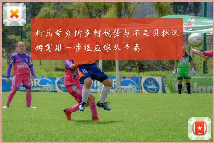 科瓦奇分析多特优势与不足贝林汉姆需进一步适应球队节奏